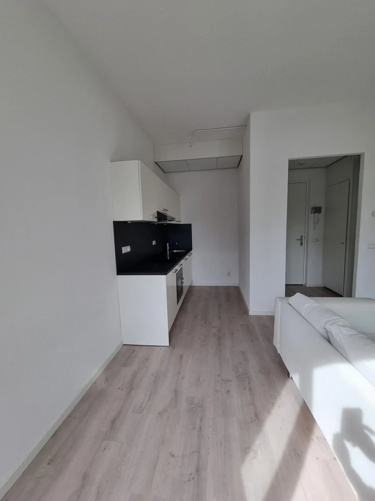 Rental property 5