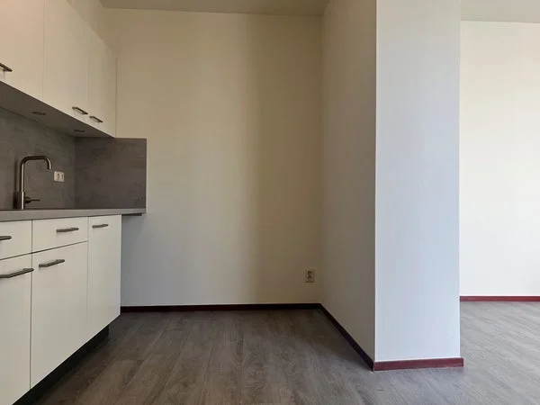 Rental property 5