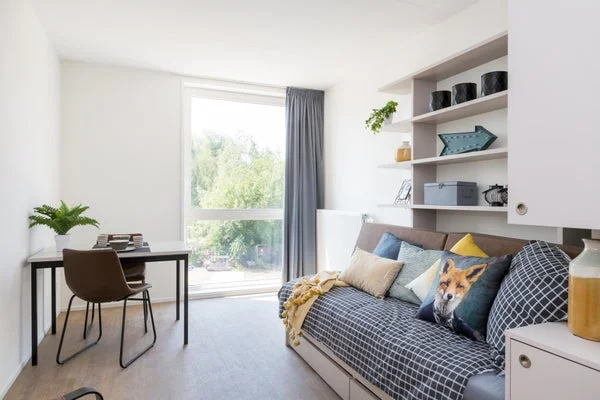 Rental property 5