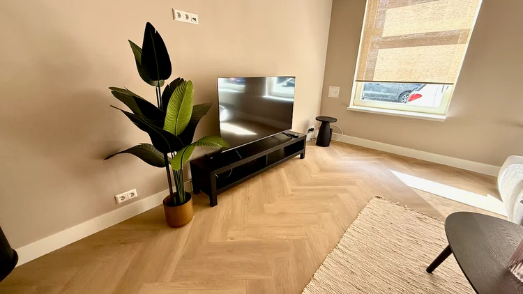 Rental property 5