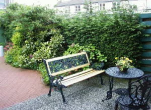 Rental property 5