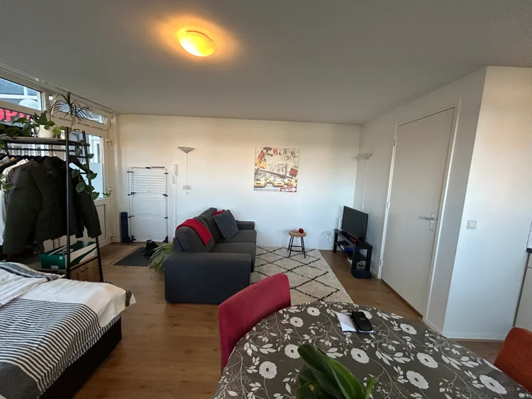 Rental property 5