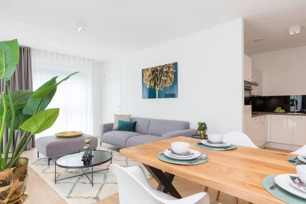 Rental property 5