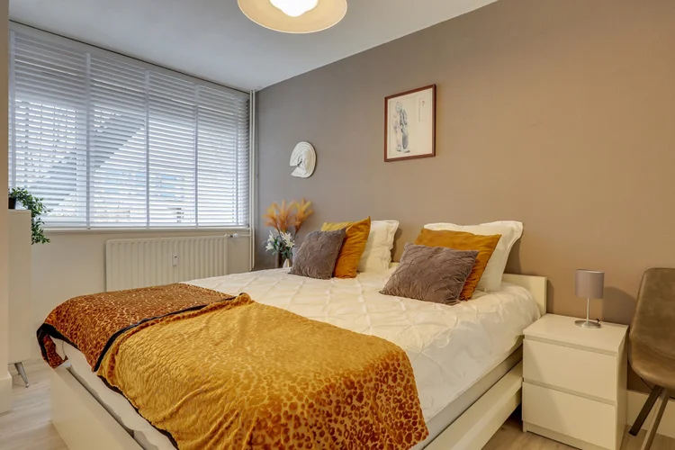 Rental property 5