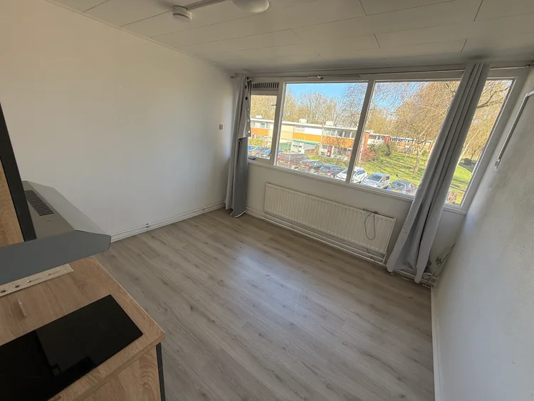 Rental property 5