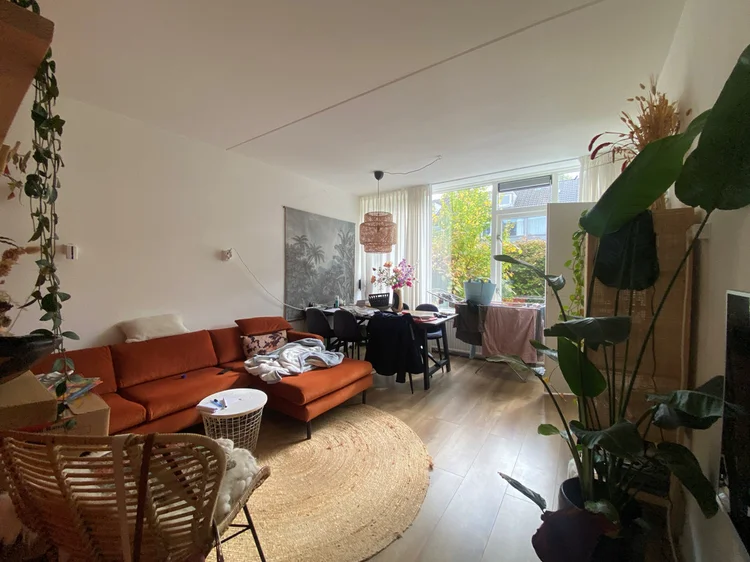 Rental property 5