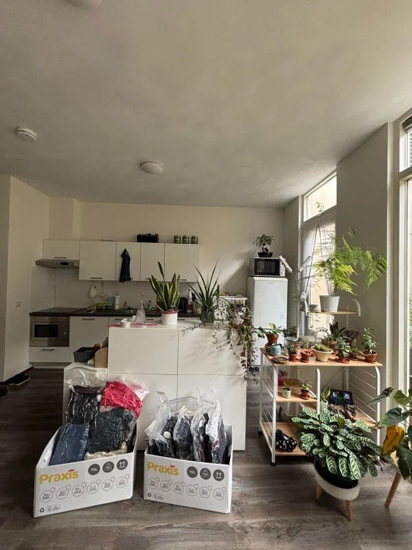 Rental property 5
