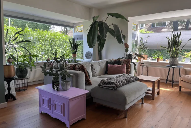 Rental property 5