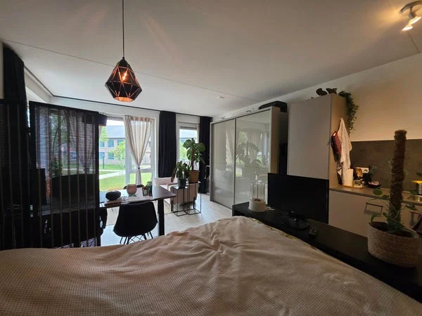 Rental property 5