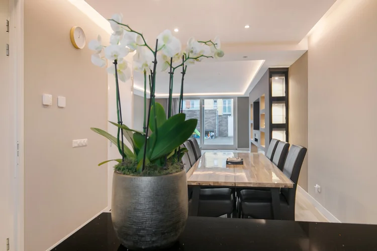 Rental property 5