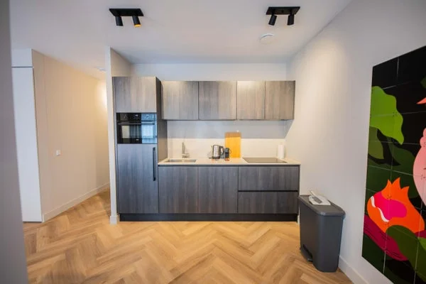Rental property 5