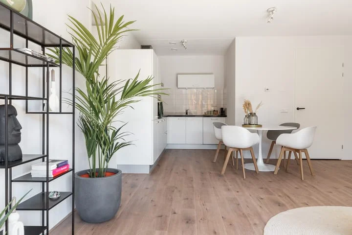 Rental property 5