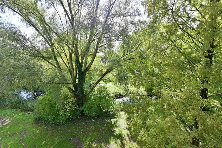 Rental property 5