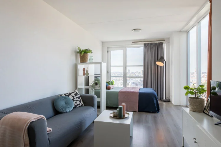 Rental property 5