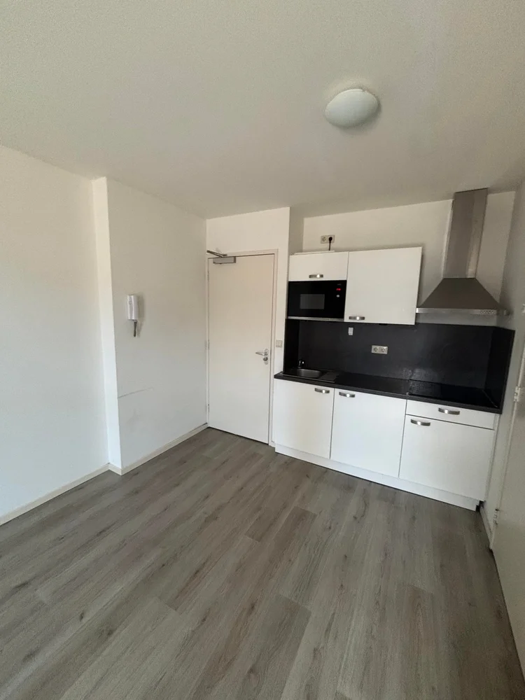 Rental property 5