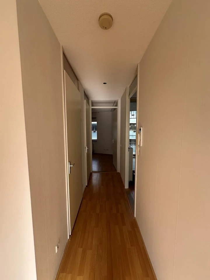 Rental property 5