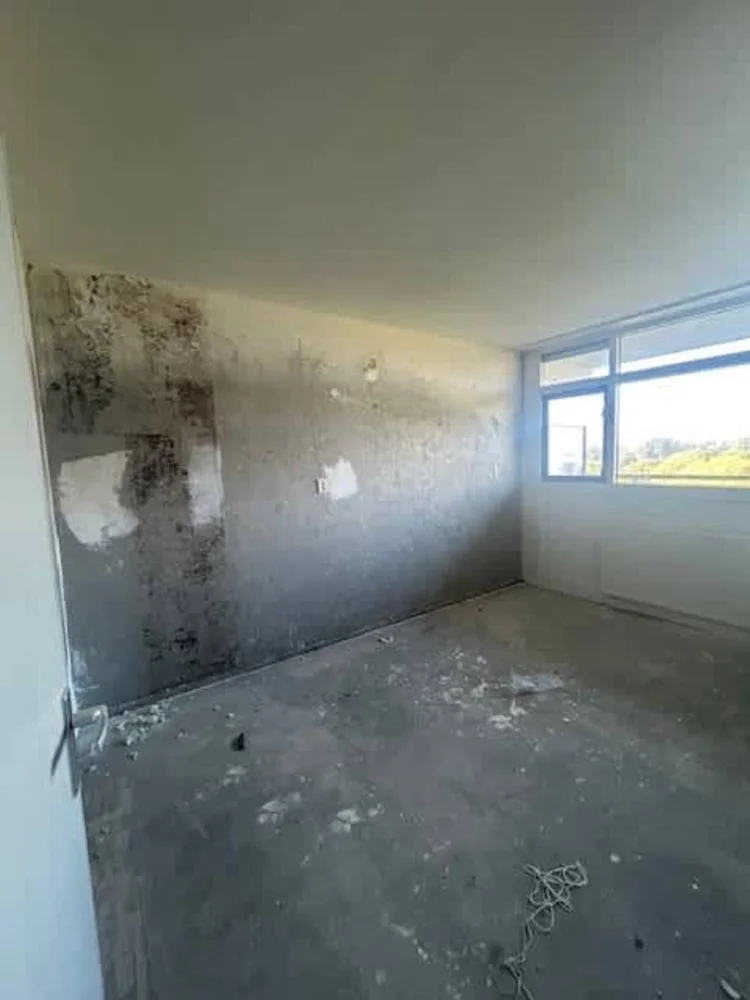 Rental property 5