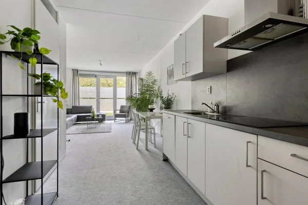 Rental property 5