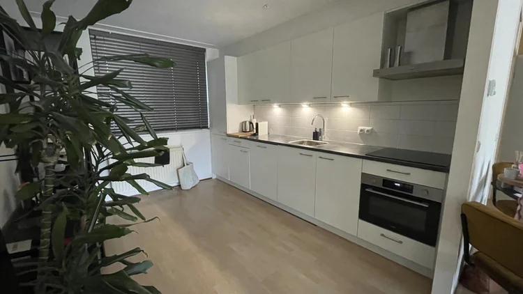 Rental property 5