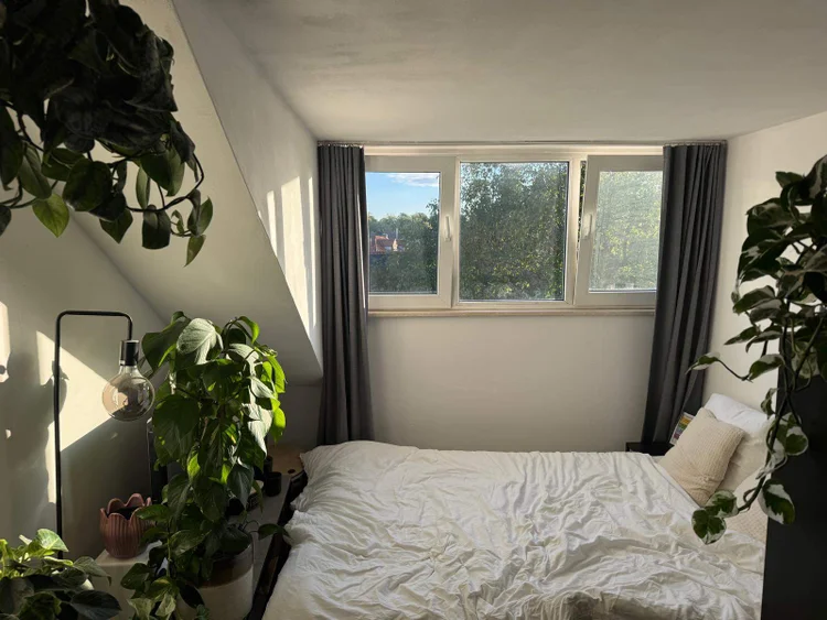 Rental property 5