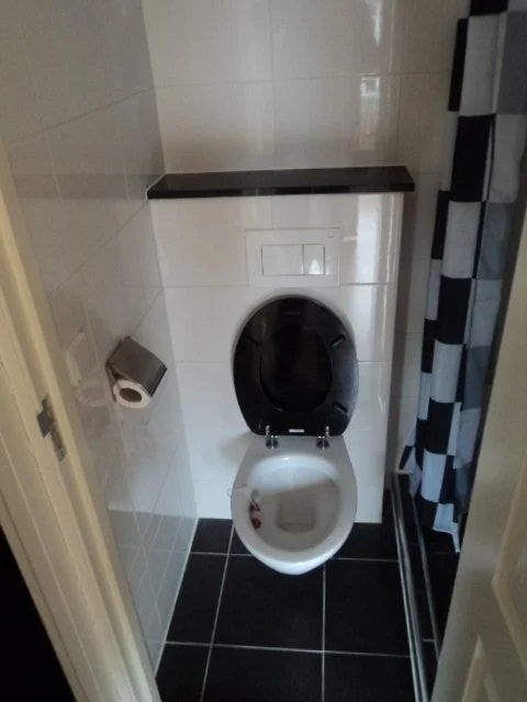 Rental property 5