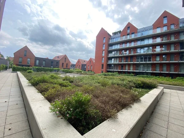 Rental property 2