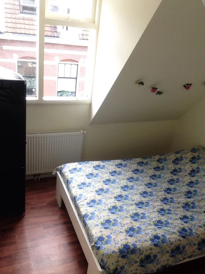Rental property 2
