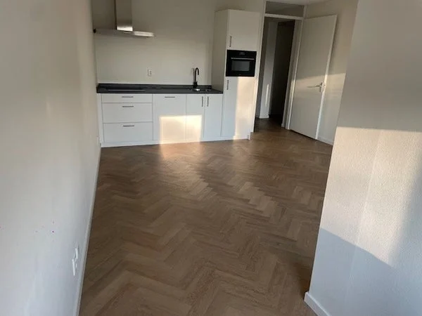 Rental property 2