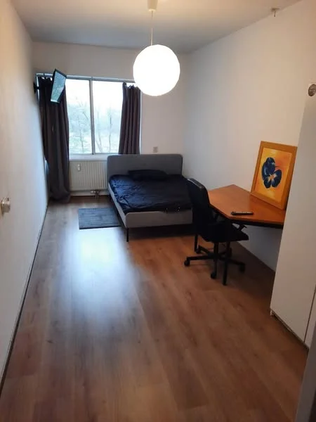 Rental property 2