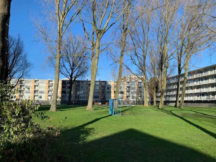 Rental property 2