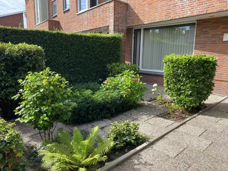 Rental property 2