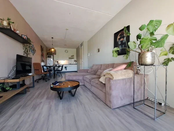Rental property 2