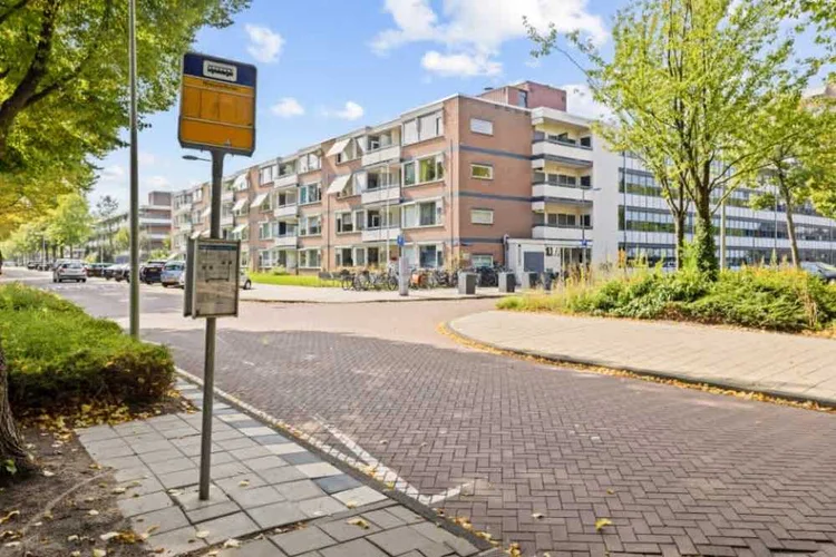 Rental property 2