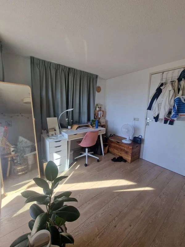Rental property 2