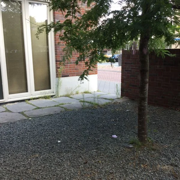 Rental property 2