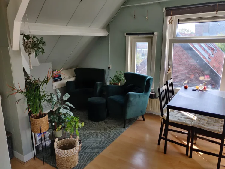 Rental property 2