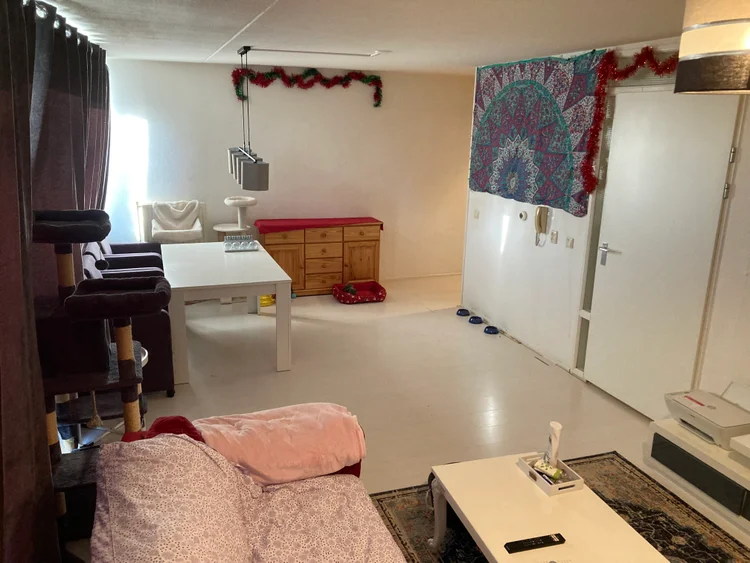 Rental property 2