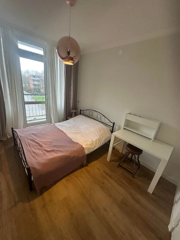 Rental property 2