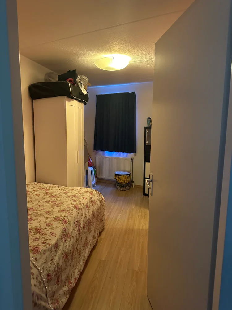 Rental property 2