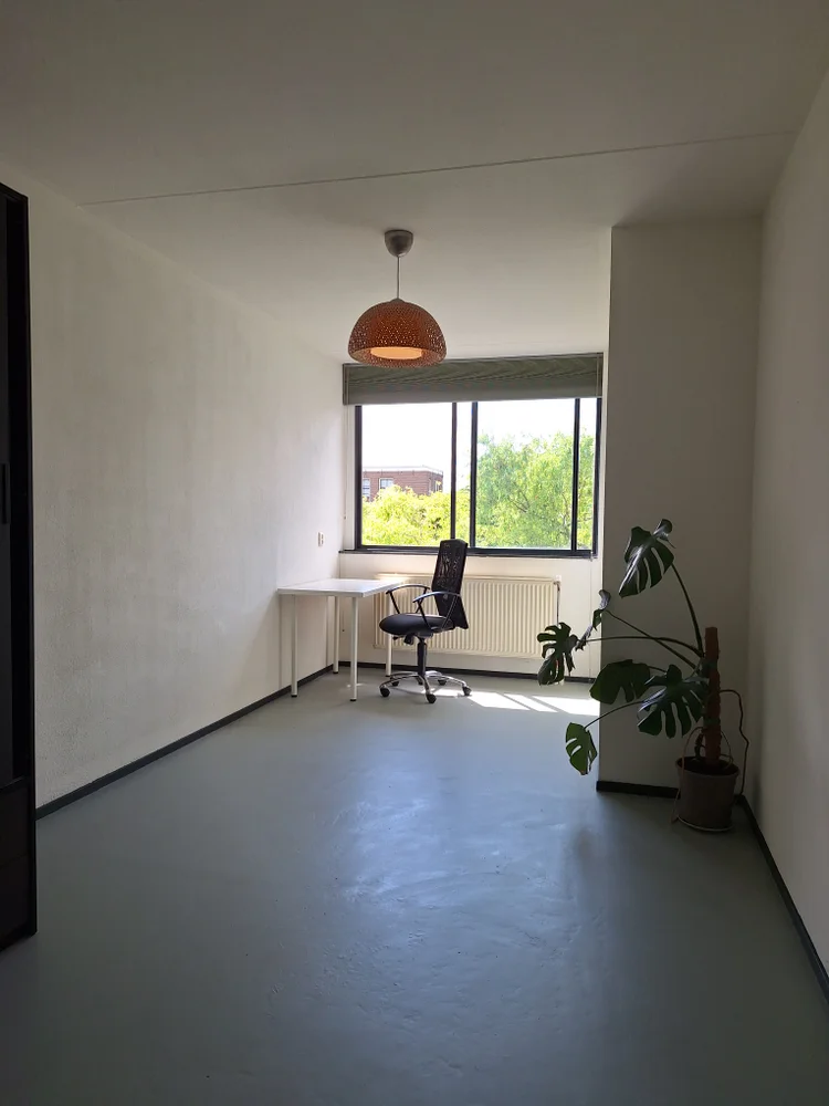 Rental property 2
