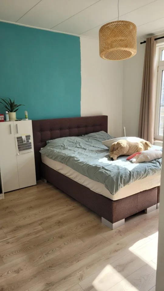 Rental property 2