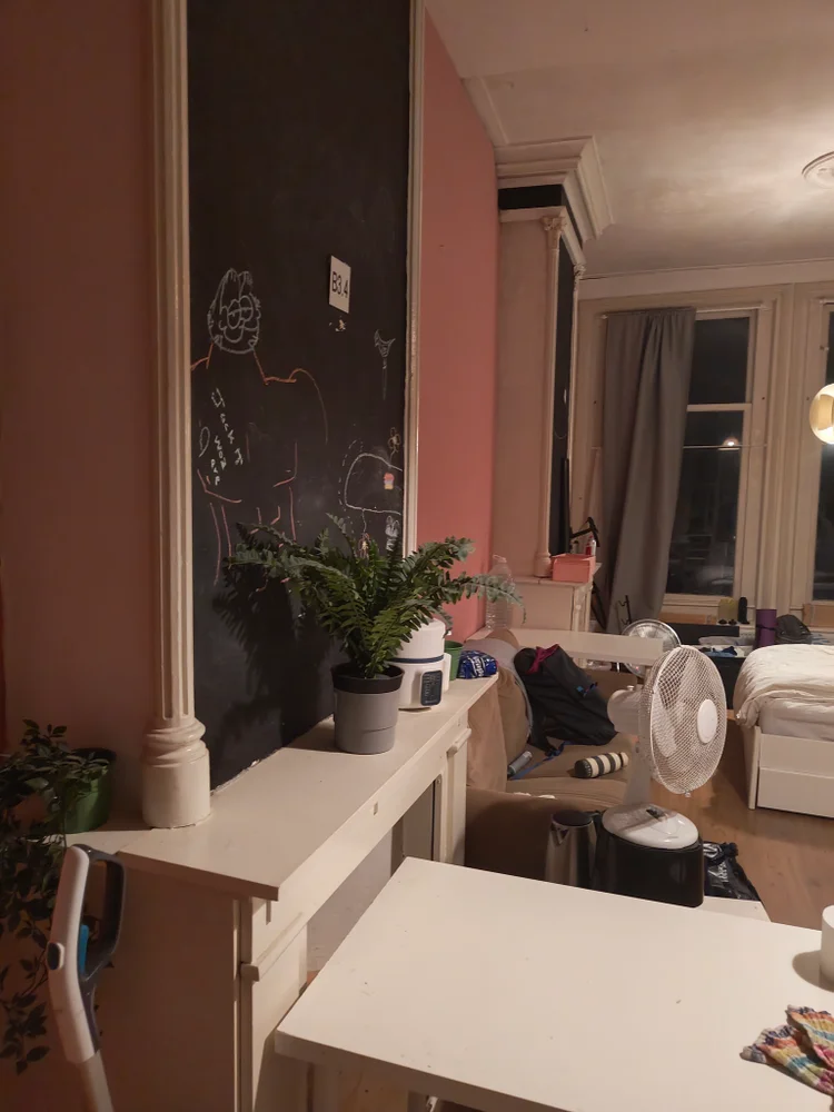 Rental property 2