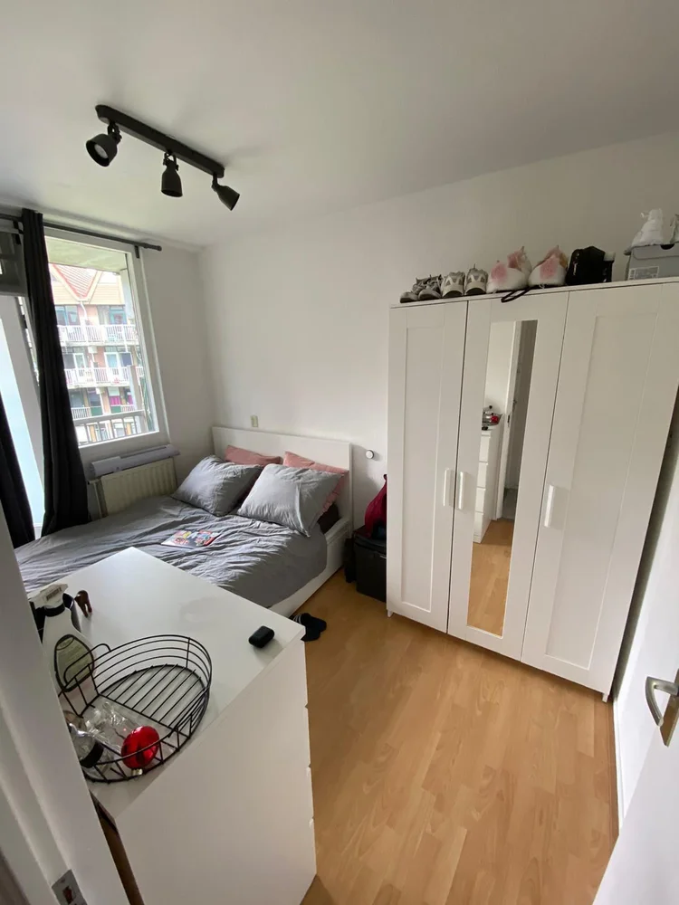 Rental property 2