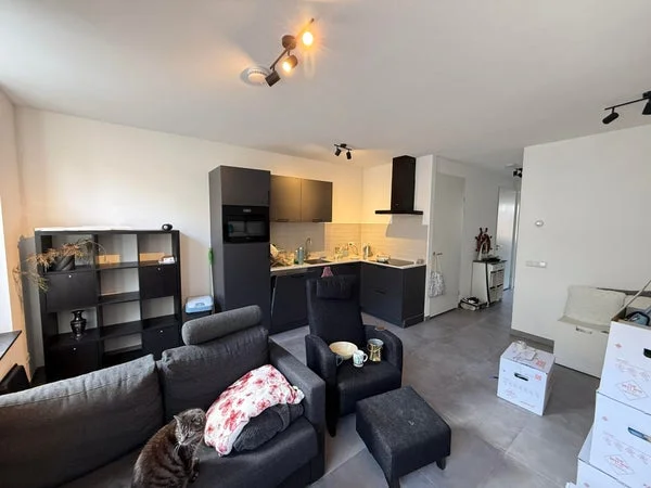 Rental property 2