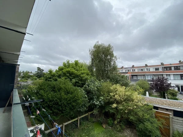 Rental property 2