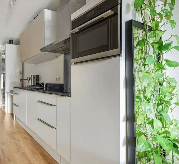 Rental property 2