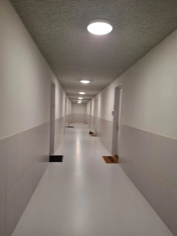 Rental property 2