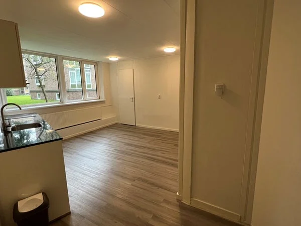 Rental property 2