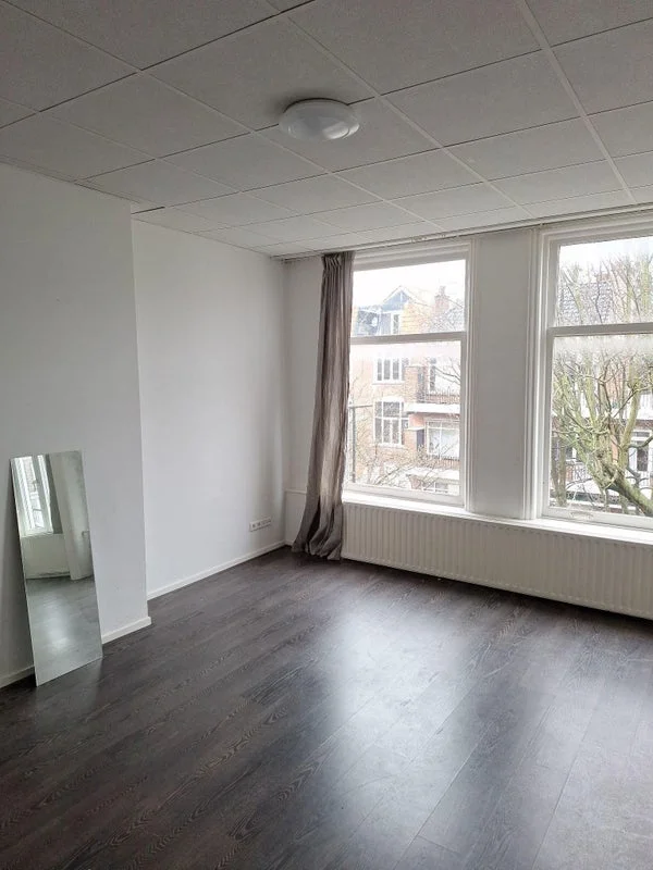 Rental property 2