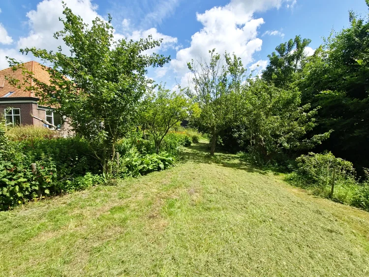 Rental property 2